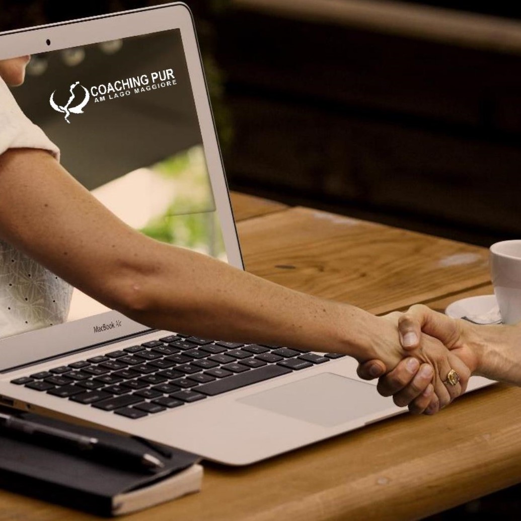 @online coaching mflury